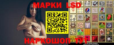 гидропоника Краснознаменск