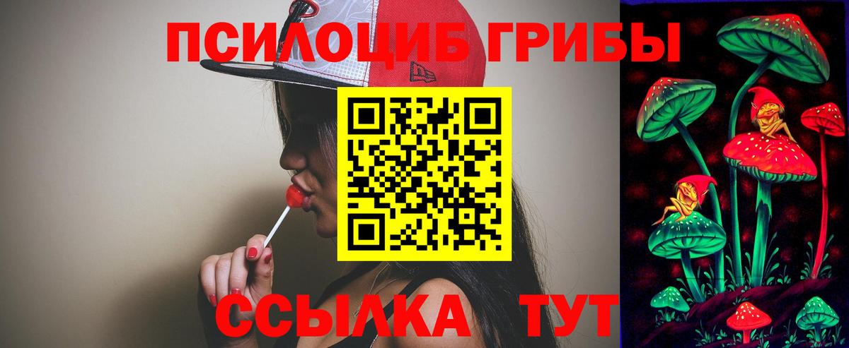Псилоцибиновые грибы Cubensis  Галлюциногенные грибы Psilocybine cubensis  Кинель  Вход с VPN 